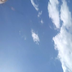 Meet your Posher, Dornella